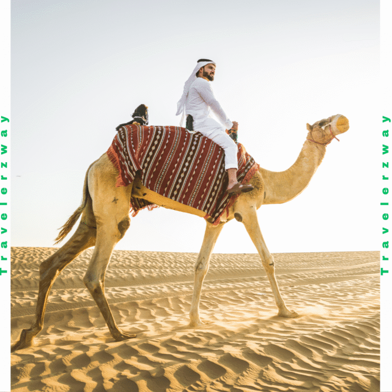 camel